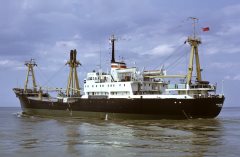 Thumbnail Image for Valya Kotik