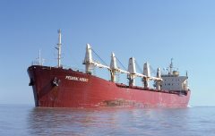 Thumbnail Image for Federal Vibeke