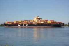 Thumbnail Image for MSC Sariska V