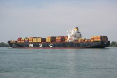 Thumbnail Image for MSC Shristi