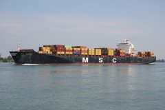 Thumbnail Image for MSC Shristi