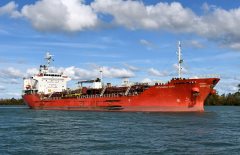 Thumbnail Image for Jutlandia Swan