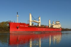 Thumbnail Image for Federal Indiana