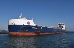 Thumbnail Image for Algoma Bear