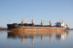 Thumbnail Image for Musky