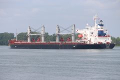 Thumbnail Image for Niovi.GR