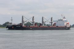 Thumbnail Image for Niovi.GR