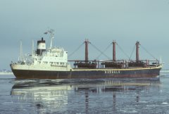 Thumbnail Image for Norbulk Pine oncontextmenu=