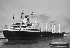 Thumbnail Image for Constantia