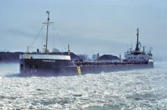 Thumbnail Image for Franquelin oncontextmenu=