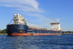 Thumbnail Image for Algoma Intrepid