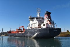 Thumbnail Image for Algoterra