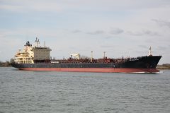 Thumbnail Image for OM Singapore