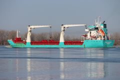 Thumbnail Image for Onego Merchant