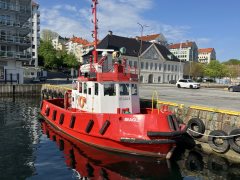 Thumbnail Image for Beagle