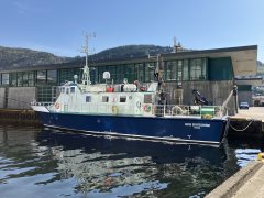 Thumbnail Image for Hans Brattstrom