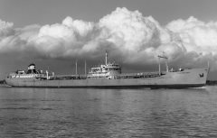 Thumbnail Image for B.A. Peerless