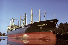 Thumbnail Image for Normannia