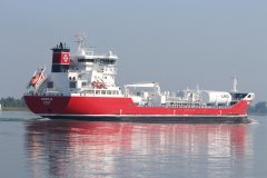 Thumbnail Image for Ramelia