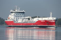 Thumbnail Image for Ramelia