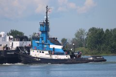 Thumbnail Image for Rebecca Lynn