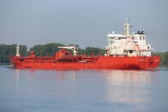 Thumbnail Image for RF Stella