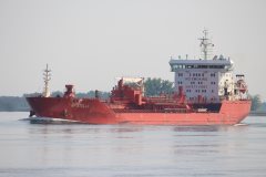 Thumbnail Image for RF Stella