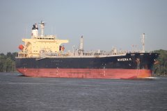 Thumbnail Image for Riviera II