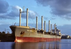 Thumbnail Image for Macarena