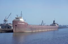 Thumbnail Image for Matthew Andrews