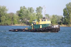 Thumbnail Image for Sandra Mary