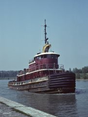 Thumbnail Image for Judy Moran