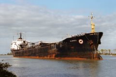 Thumbnail Image for Algosea