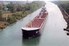 Thumbnail Image for Algowood