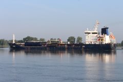 Thumbnail Image for Selenka