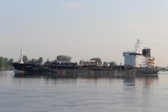 Thumbnail Image for Selenka