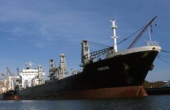 Thumbnail Image for Pintail oncontextmenu=