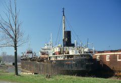 Thumbnail Image for Isle Royale