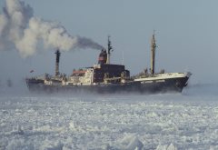 Thumbnail Image for Metallurg Anosov oncontextmenu=