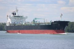 Thumbnail Image for Starlight II oncontextmenu=