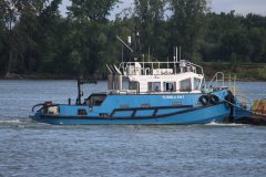 Thumbnail Image for Turbulent