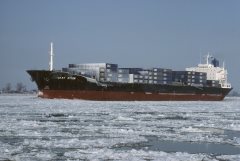 Thumbnail Image for Cast Otter oncontextmenu=