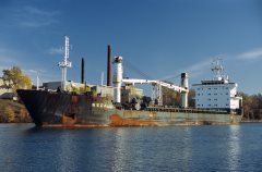 Thumbnail Image for Rega