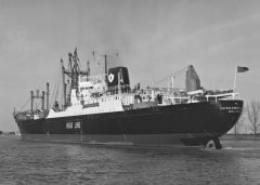 Thumbnail Image for Inishowen Head