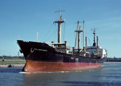 Thumbnail Image for Kalligrammos