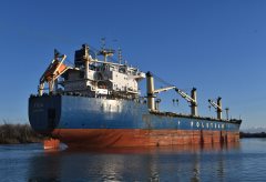 Thumbnail Image for Isa