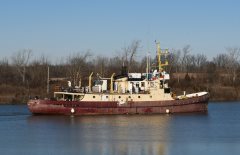 Thumbnail Image for Still Watch