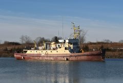 Thumbnail Image for Still Watch