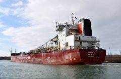 Thumbnail Image for Nukumi oncontextmenu=