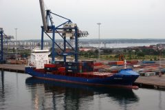 Thumbnail Image for Ice Bird